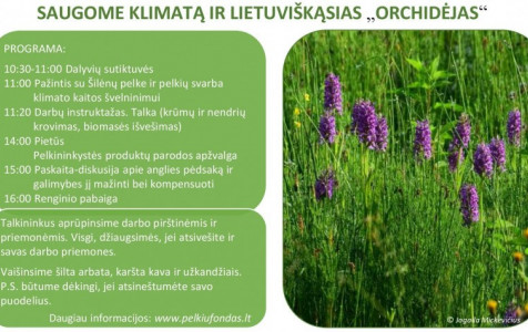 Šilėnų talka.jpg