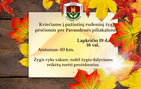 ZYGIS PESCIOMIS.png