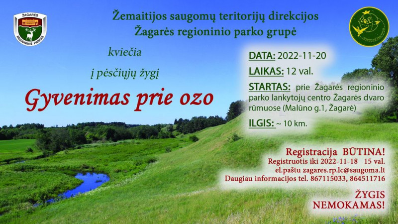 Zagares zygis.jpg