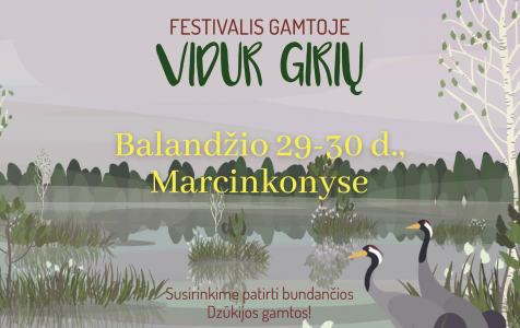 vIDUR GIRIU.png