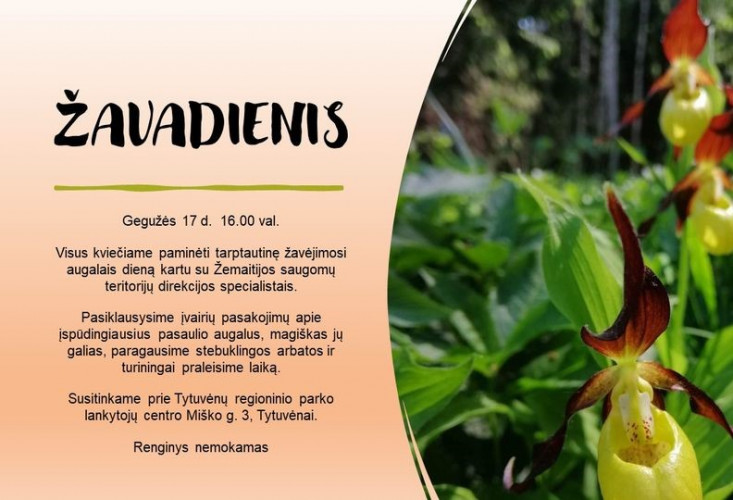 zavadienis.jpg