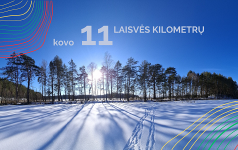 11 km.png