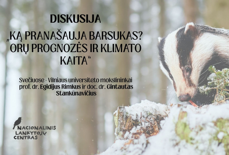 Barsukas.jpg