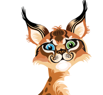 image 6.png