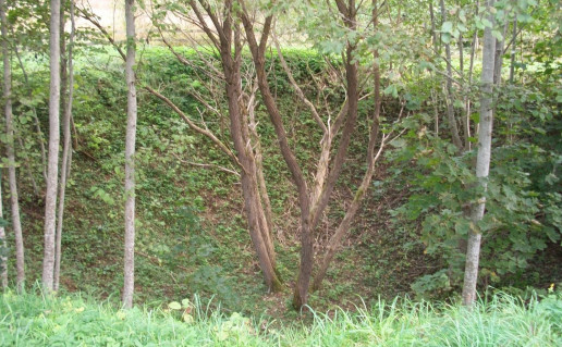 100_2613.jpg