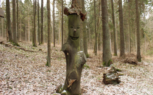 12_kivakalnis5.jpg