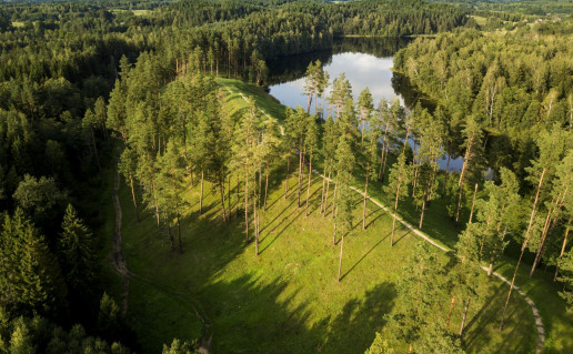 DJI_0031-HDR.jpg