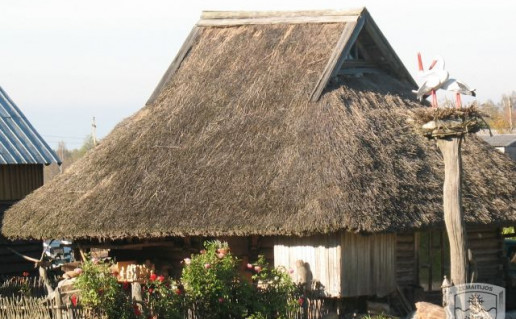 K.-Striaupos-kletele.jpg