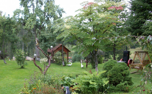 Plokstines-pamiske.Nuotr_.is-asm.arch_.-7-min.jpg