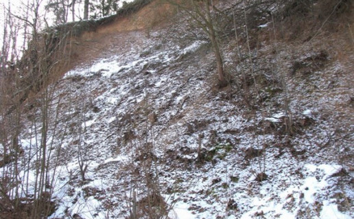 strėvos 2009.jpg