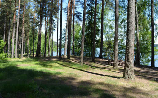 ArinoI 043.jpg