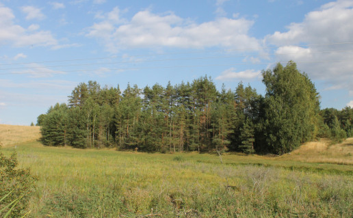 Dainaviškių_senkapiai_2015.jpg