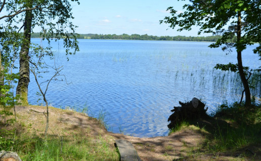 ZvernoII 057.jpg