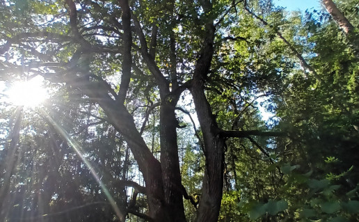 20230928_142925.jpg
