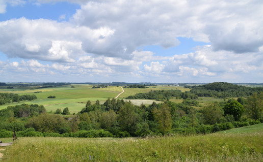 Žąsūgala.jpg