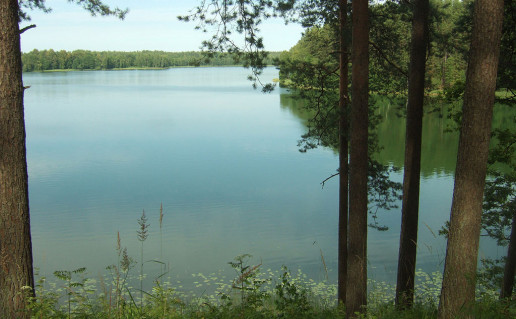 Baluoso_ezeras2015.JPG