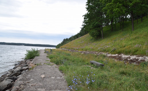 DSC_0072.JPG