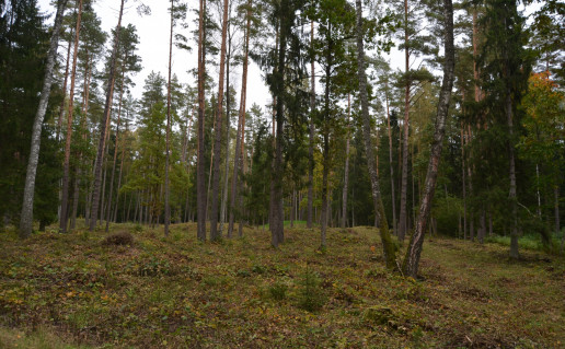 DSC_0034.JPG