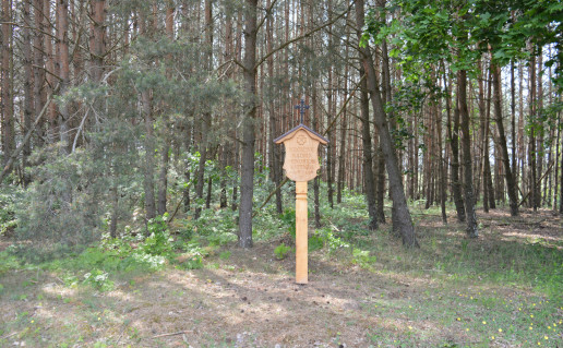 DSC_0806.JPG