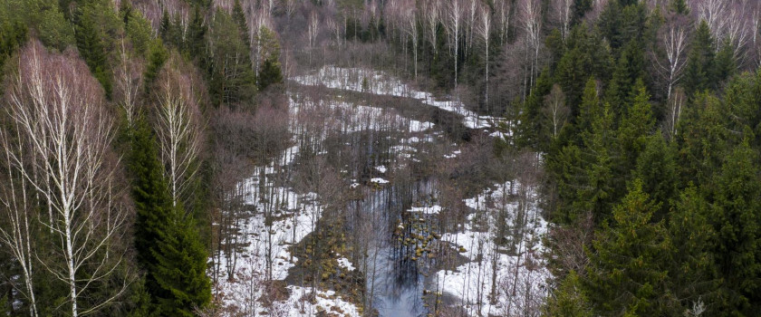 1-labanoro-regioninis-parkas-5c76d866afaed.jpg